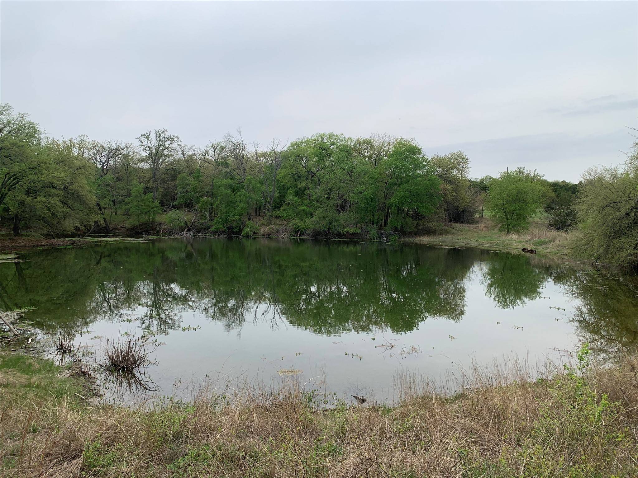 Nemo, TX 76070,1033 Creek Crossing RD
