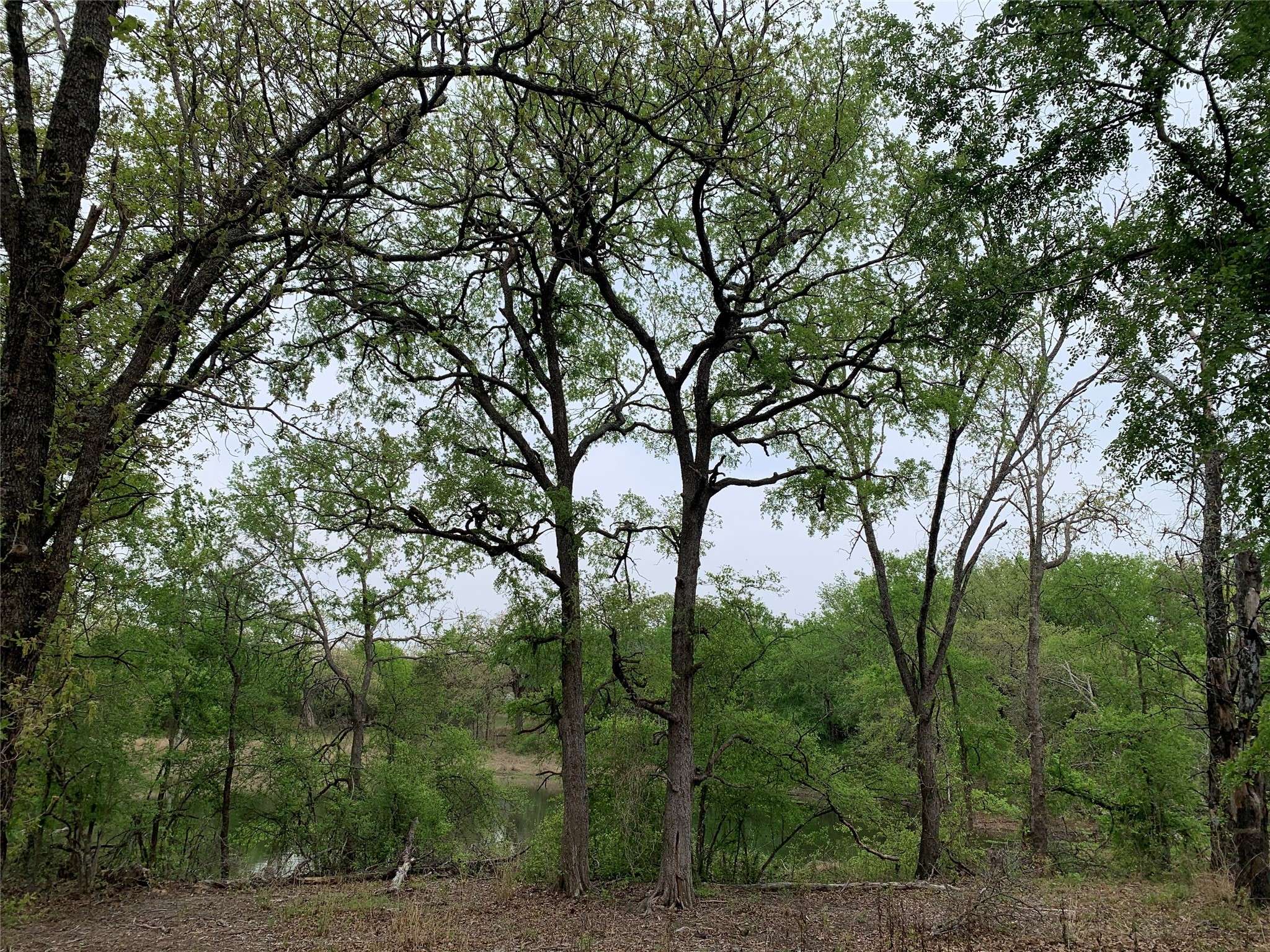 Nemo, TX 76070,1045 Creek Crossing RD