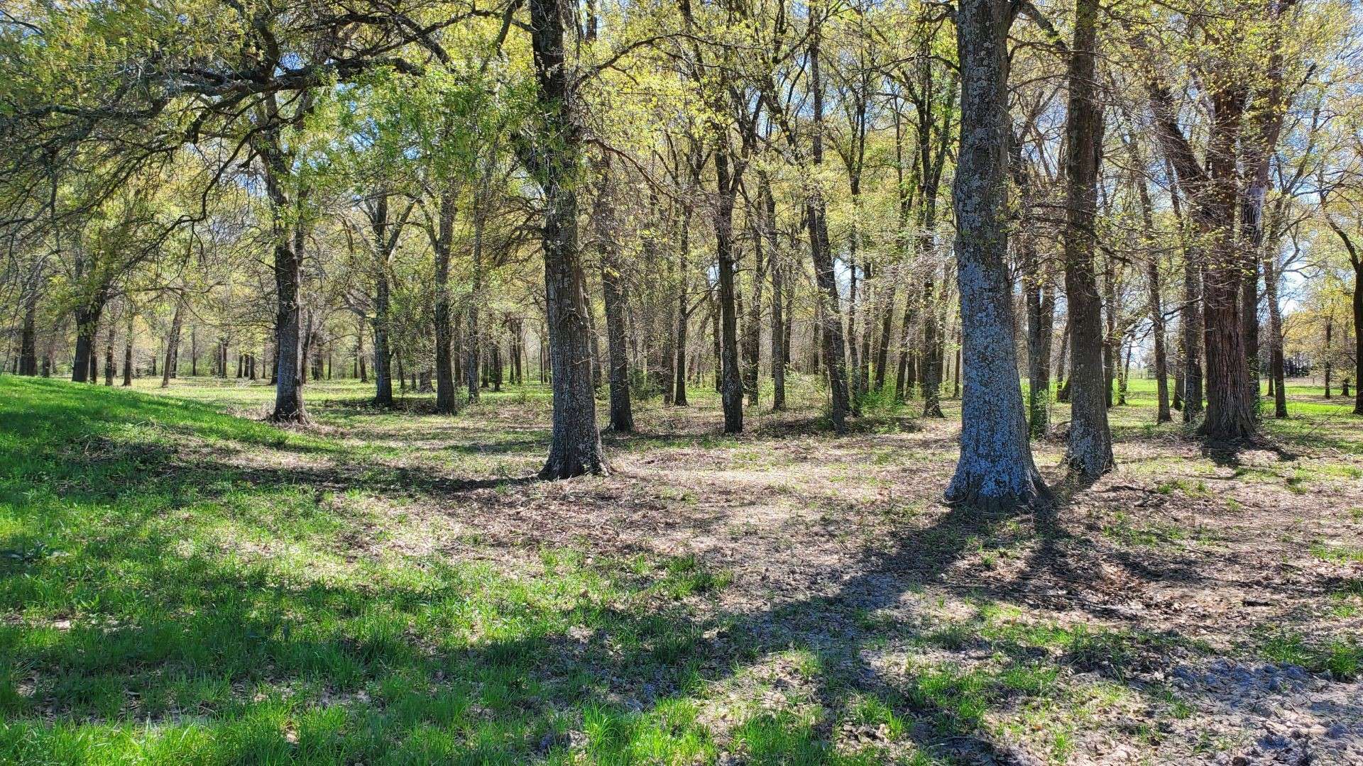 Terrell, TX 75161,Lot 6 Deer Creek County Road 355