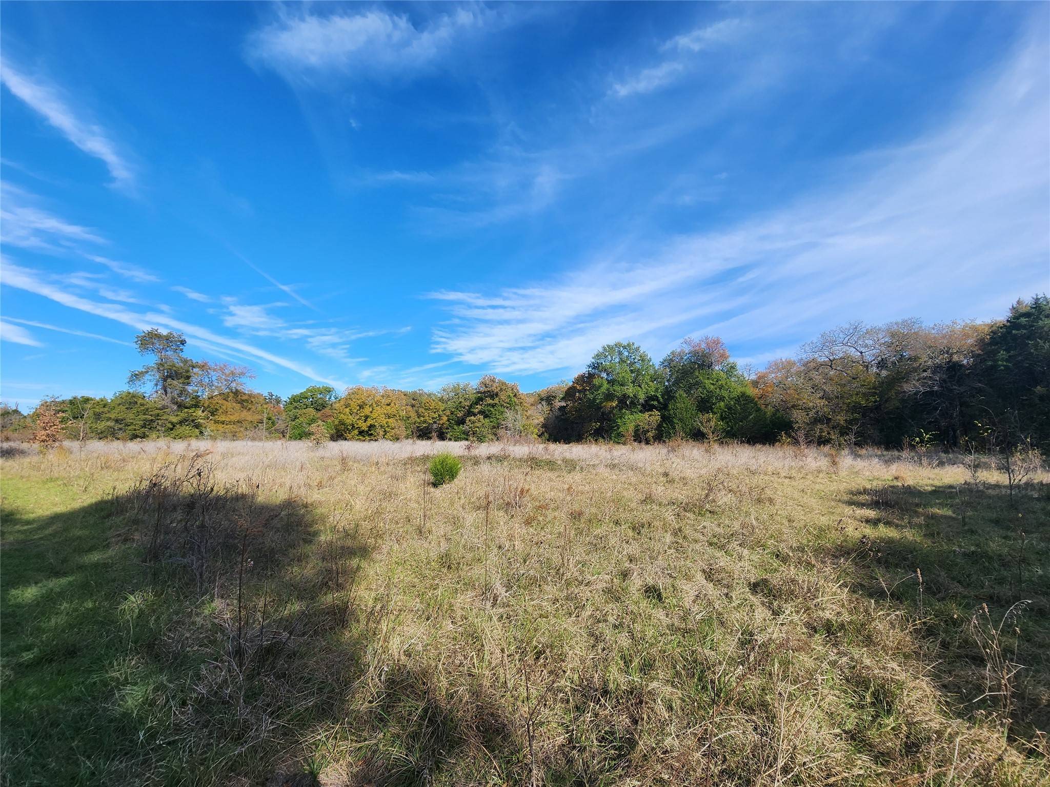 Kemp, TX 75143,00 County Road 2100