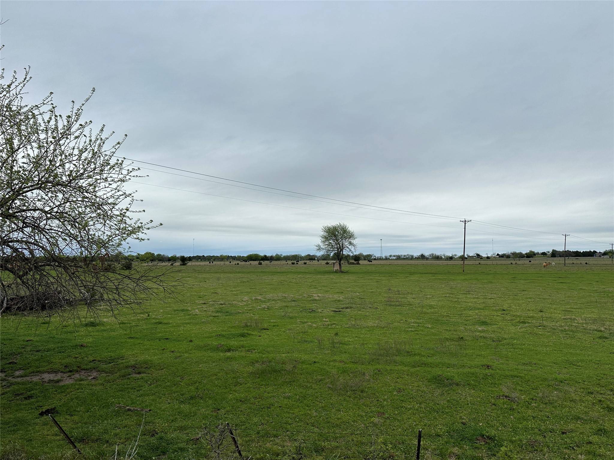 Whitesboro, TX 76273,000 Stiles RD