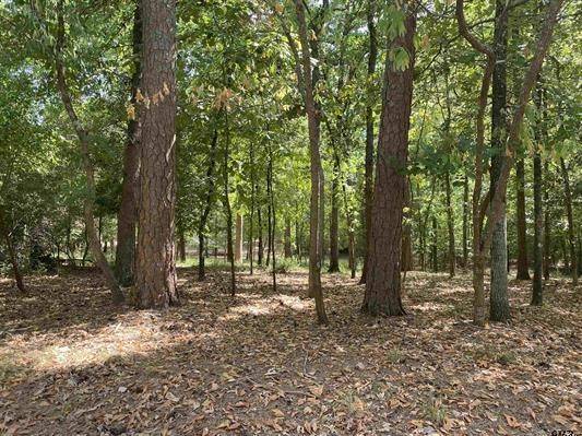 Hawkins, TX 75765,TBD Lamplight PATH