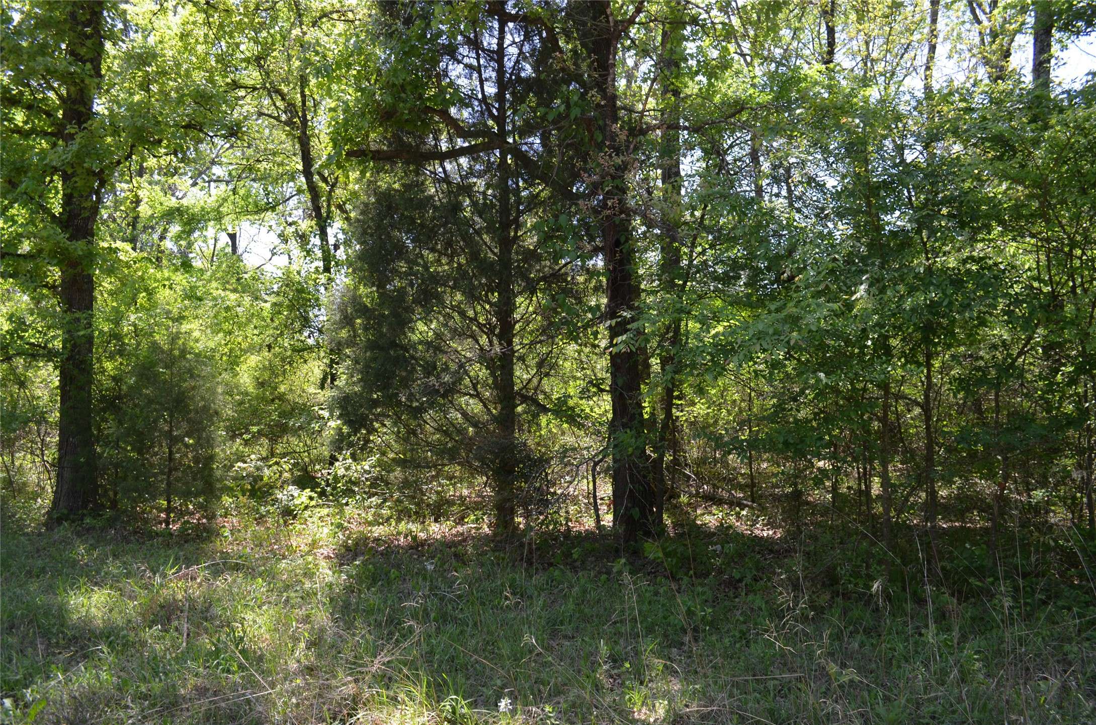 Trinidad, TX 75163,LOT 17 Westwood DR