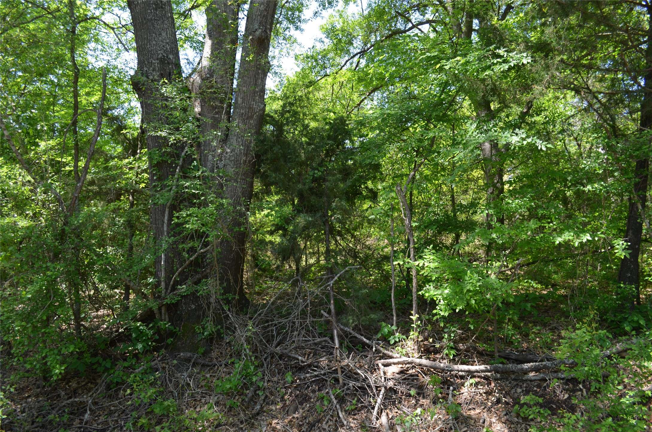 Trinidad, TX 75163,LOT 16 Westwood DR