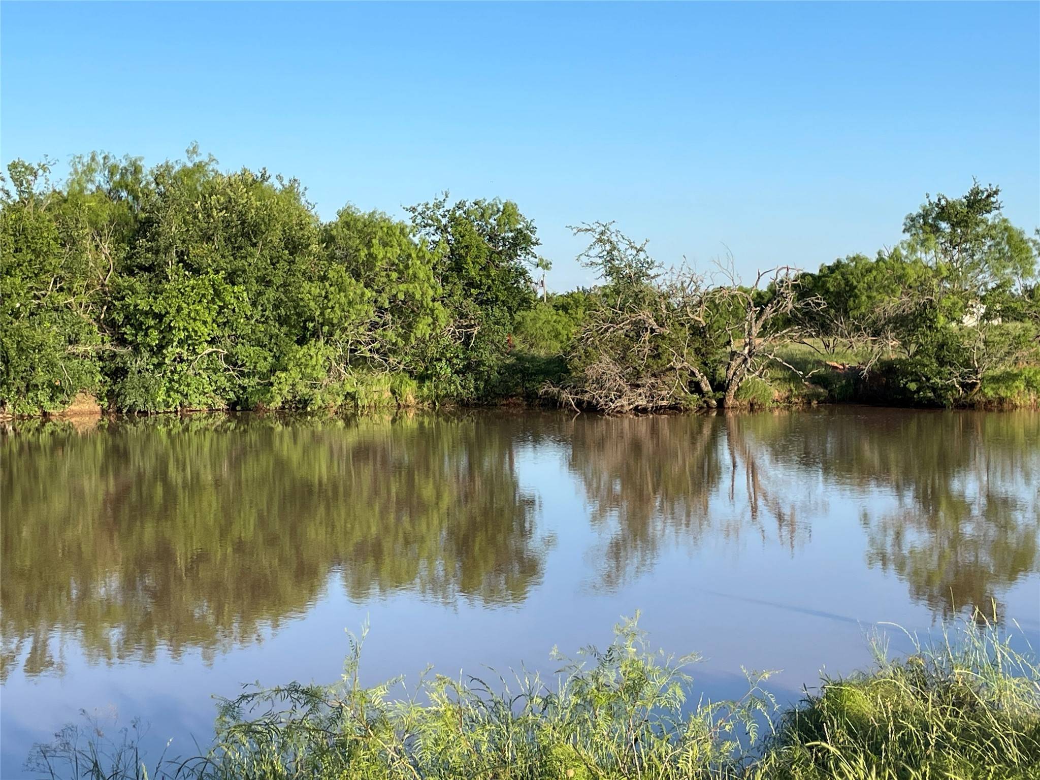 Whitt, TX 76490,TBD Brumbelow