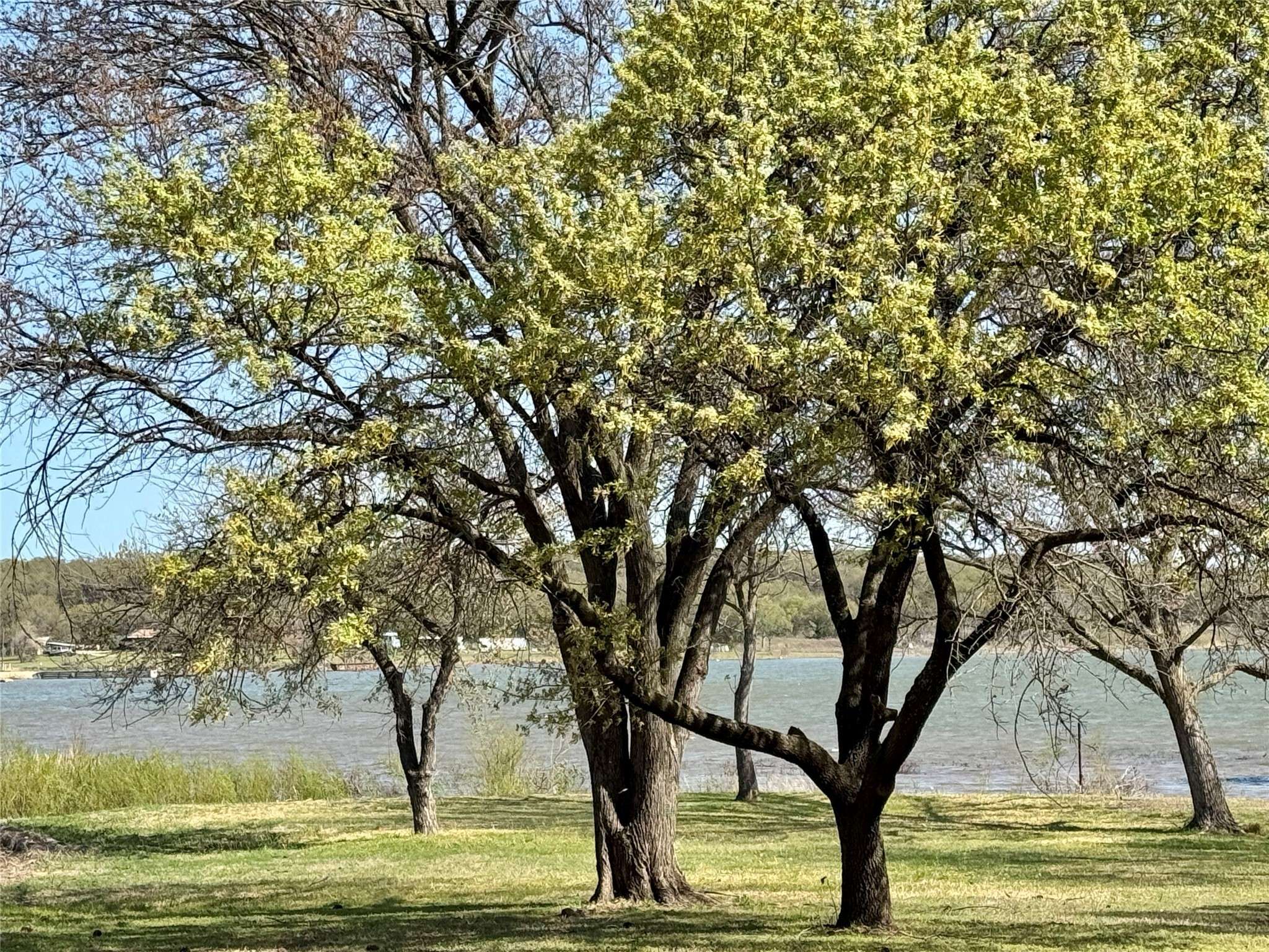 Nocona, TX 76255,306 Oak ST