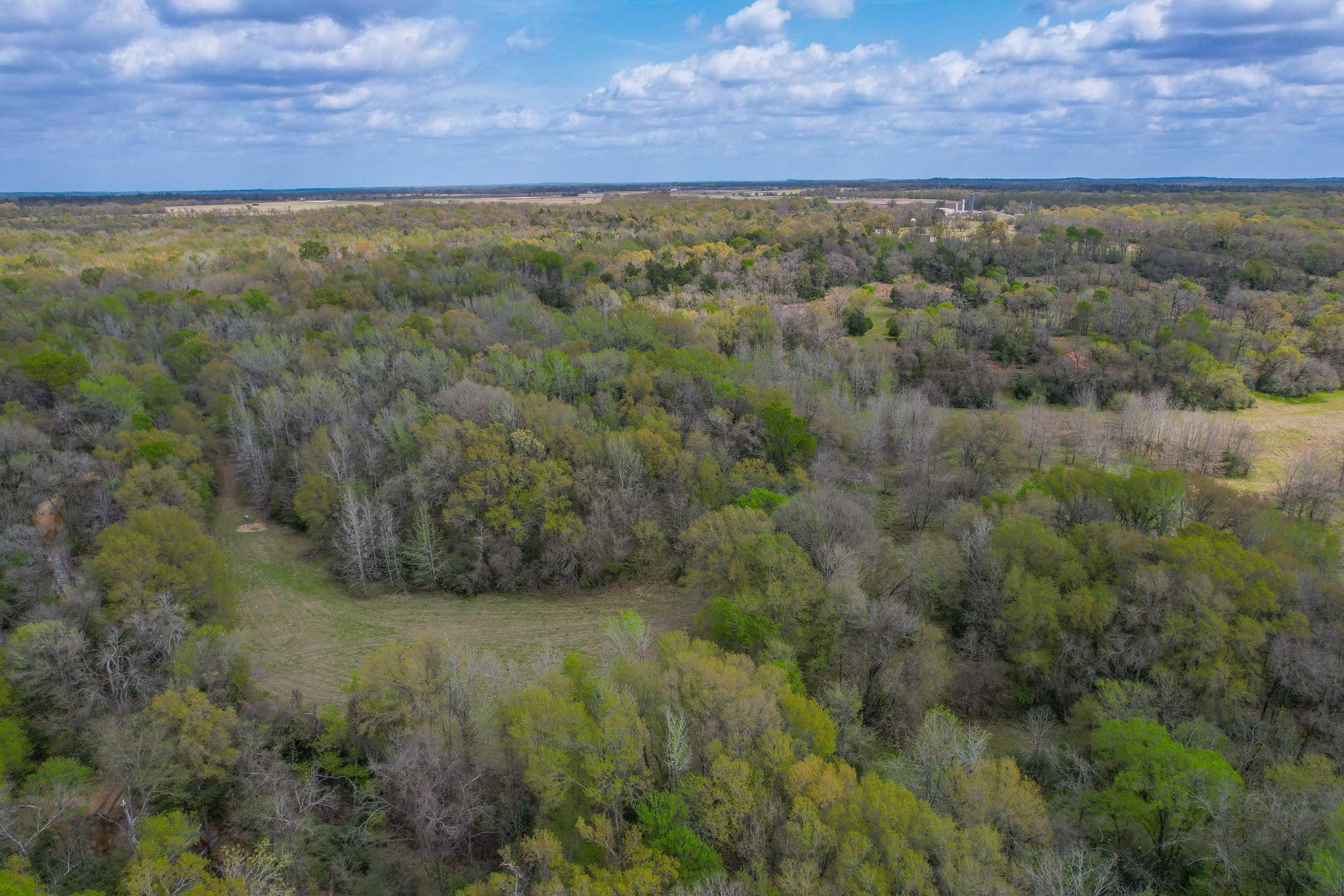 Buffalo, TX 75831,350 Fm-1848 #A