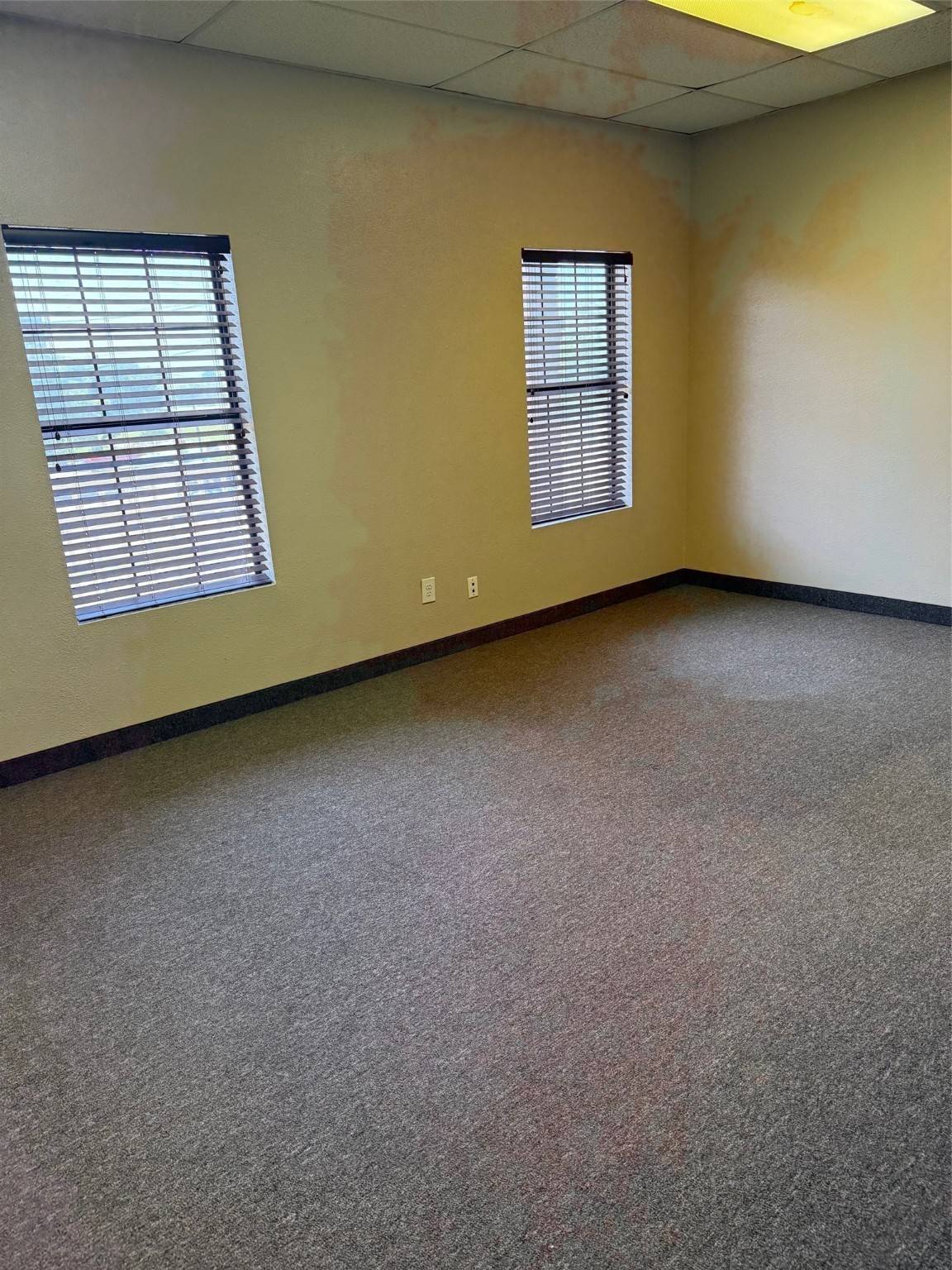 Garland, TX 75043,329 Oaks TRL #209