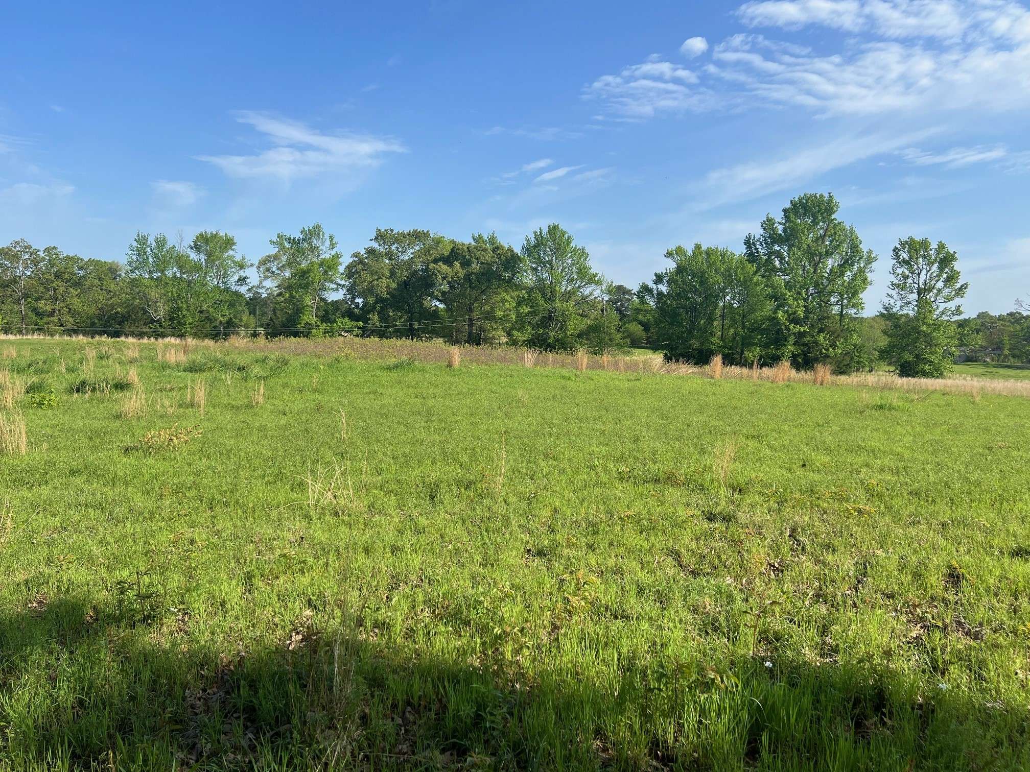 Mount Pleasant, TX 75455,TBD CR 1755