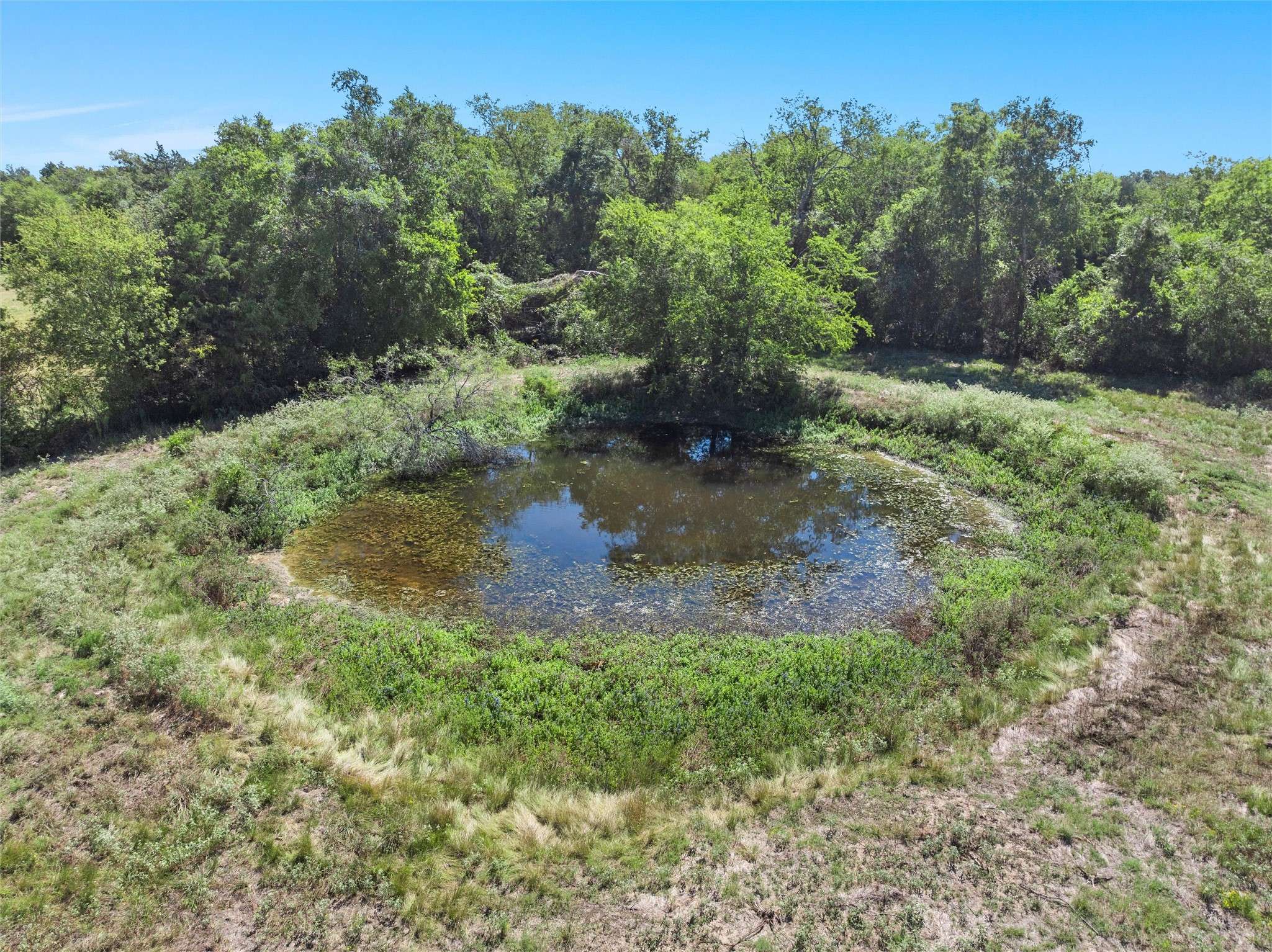 Thornton, TX 76687,00 FM #1246