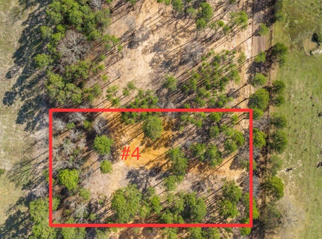 Mineola, TX 75773,LOT 4 County Road 2540