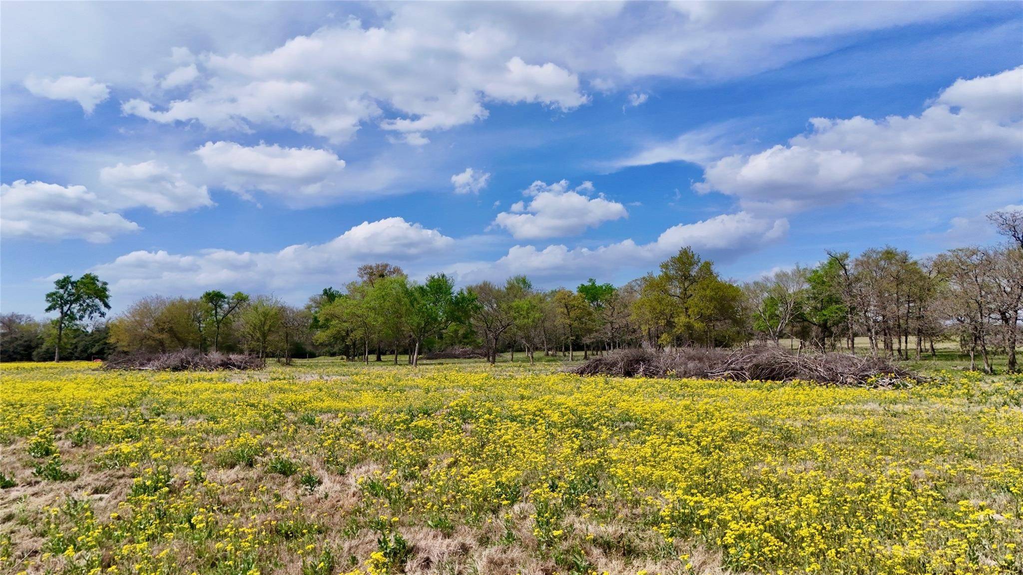 Thornton, TX 76687,00 FM 2749