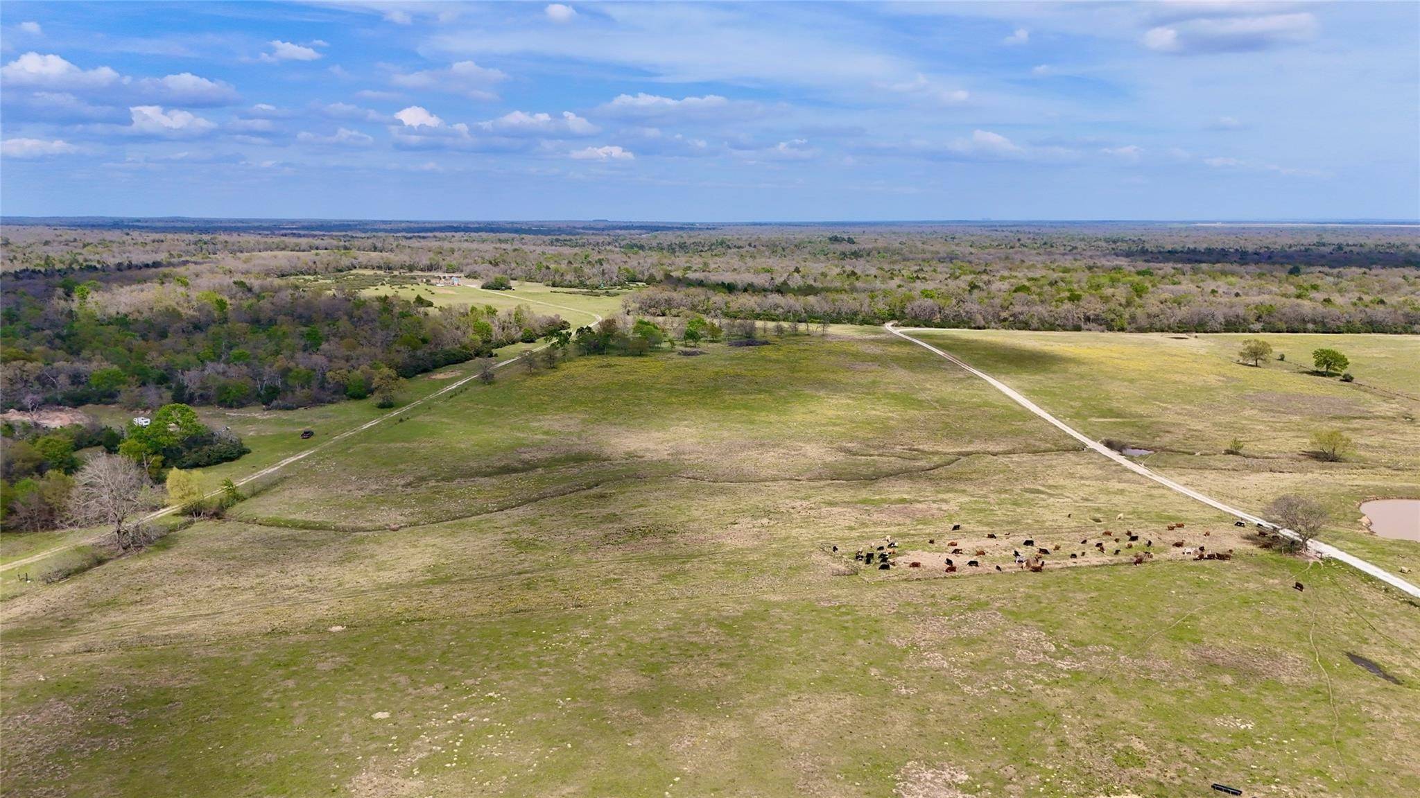 Thornton, TX 76687,00 FM 2749