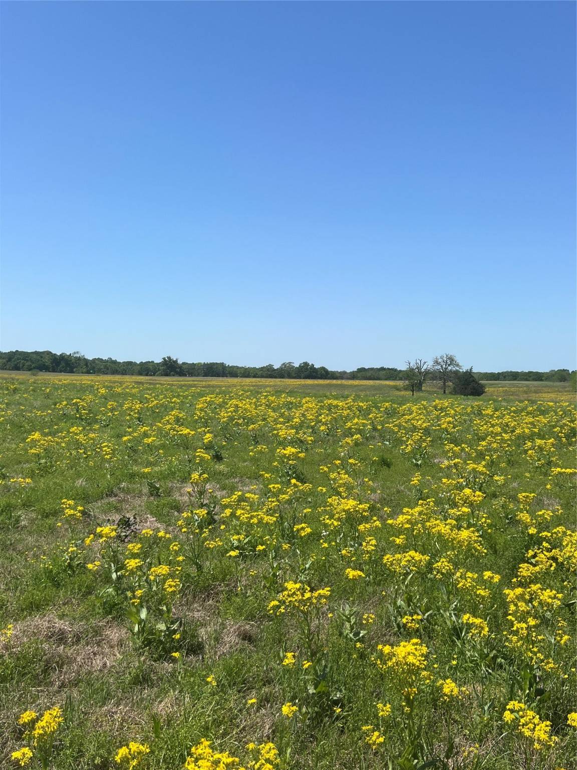 Larue, TX 75770,000 Cr 4343