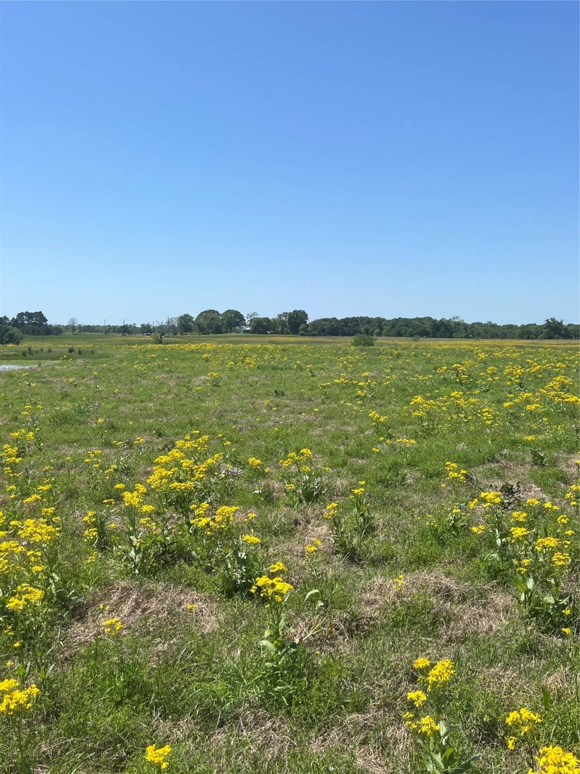 Larue, TX 75770,000 Cr 4343