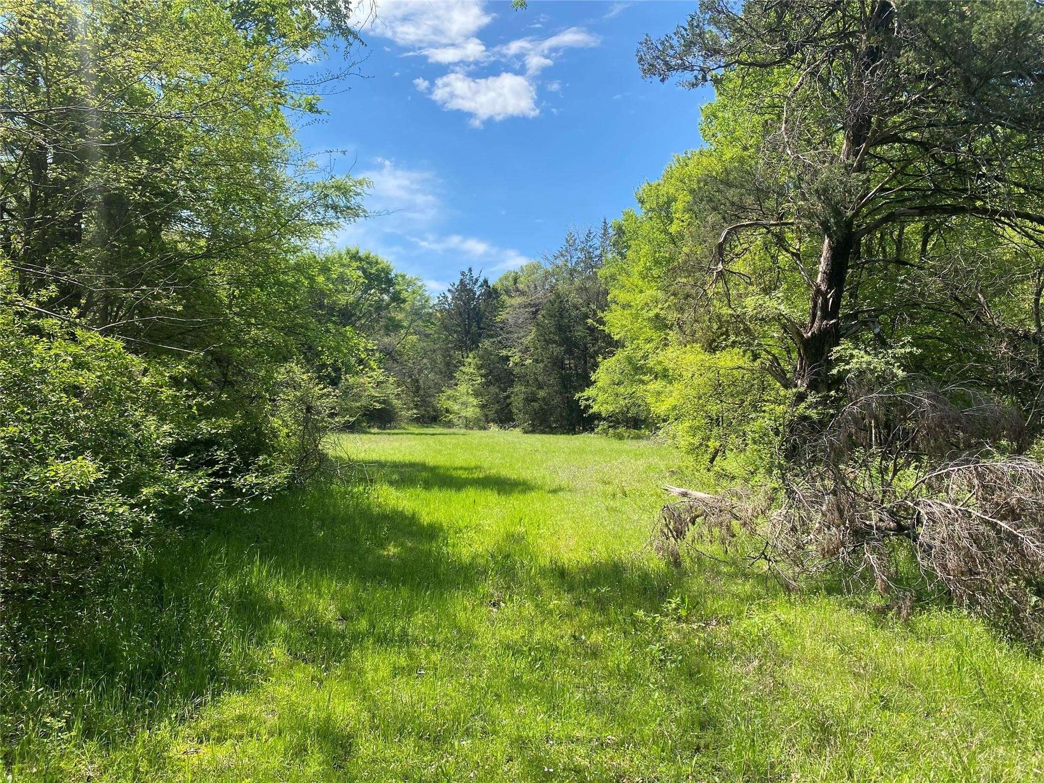 Bogata, TX 75417,none CR1131