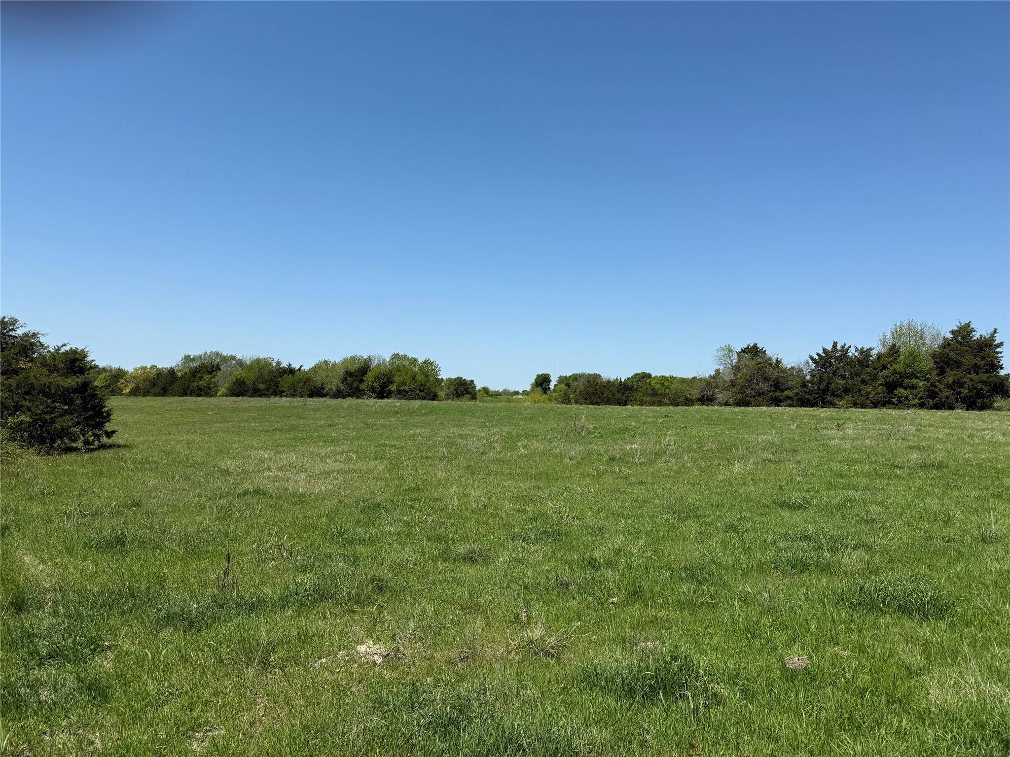 Whitewright, TX 75491,000 Bethel-Cannon RD
