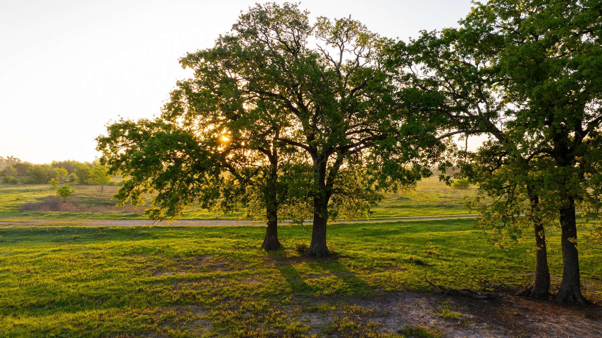 Donie, TX 75838,1020 County Road 751