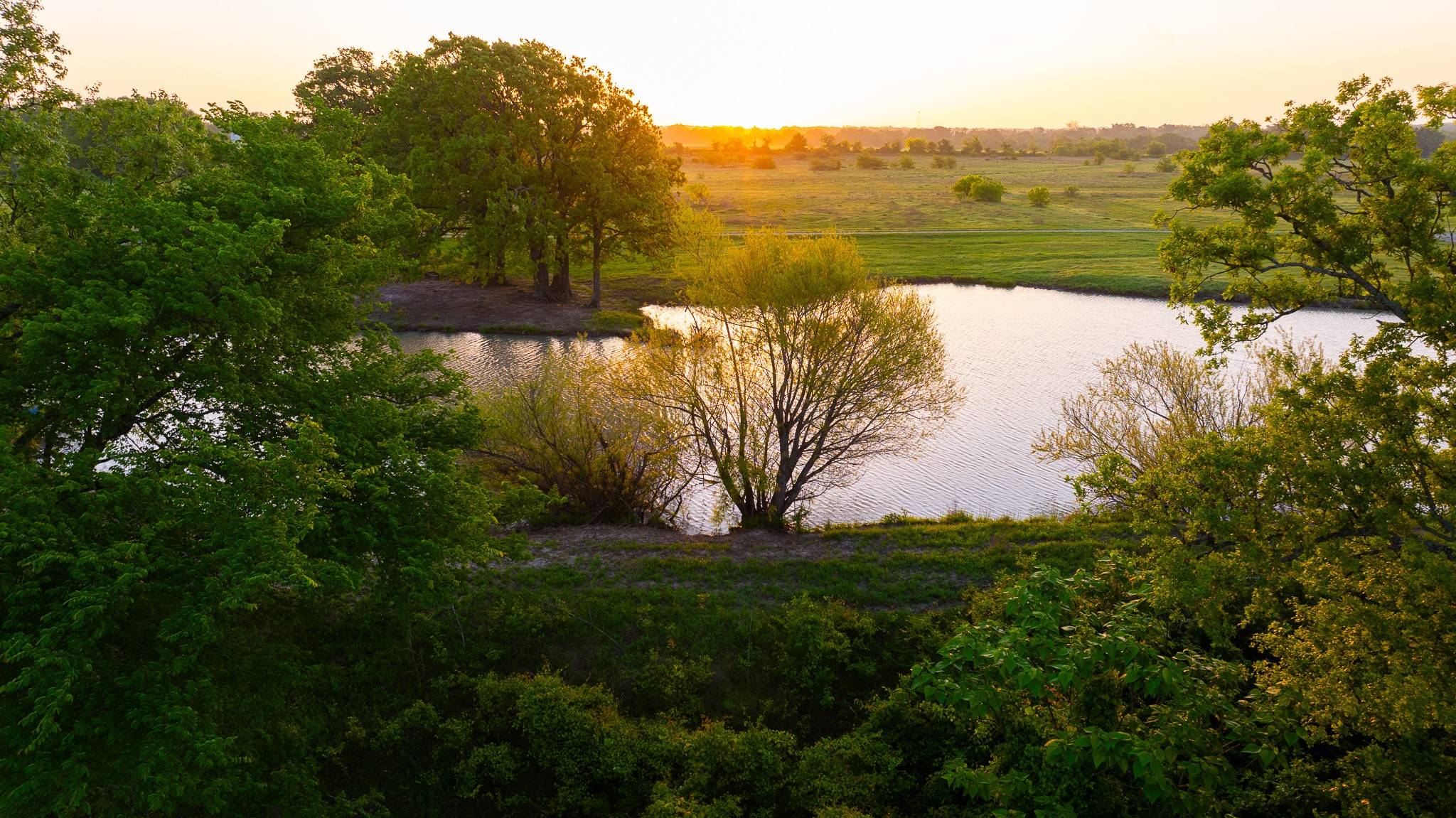 Donie, TX 75838,1020 County Road 751