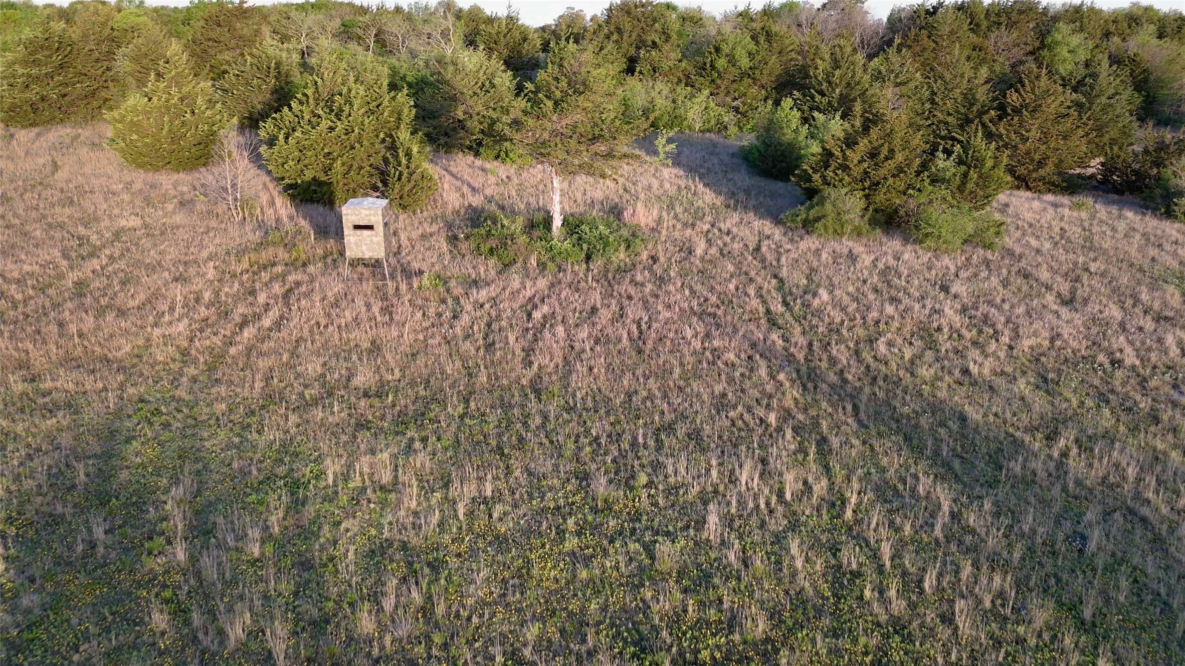 Forestburg, TX 76239,1679 Rosston