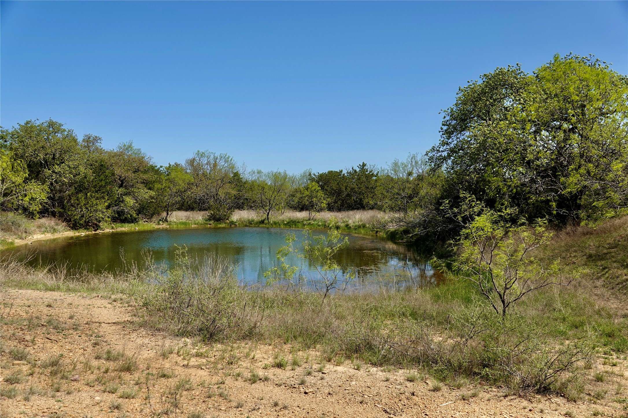 Mingus, TX 76463,TBD County Road 107