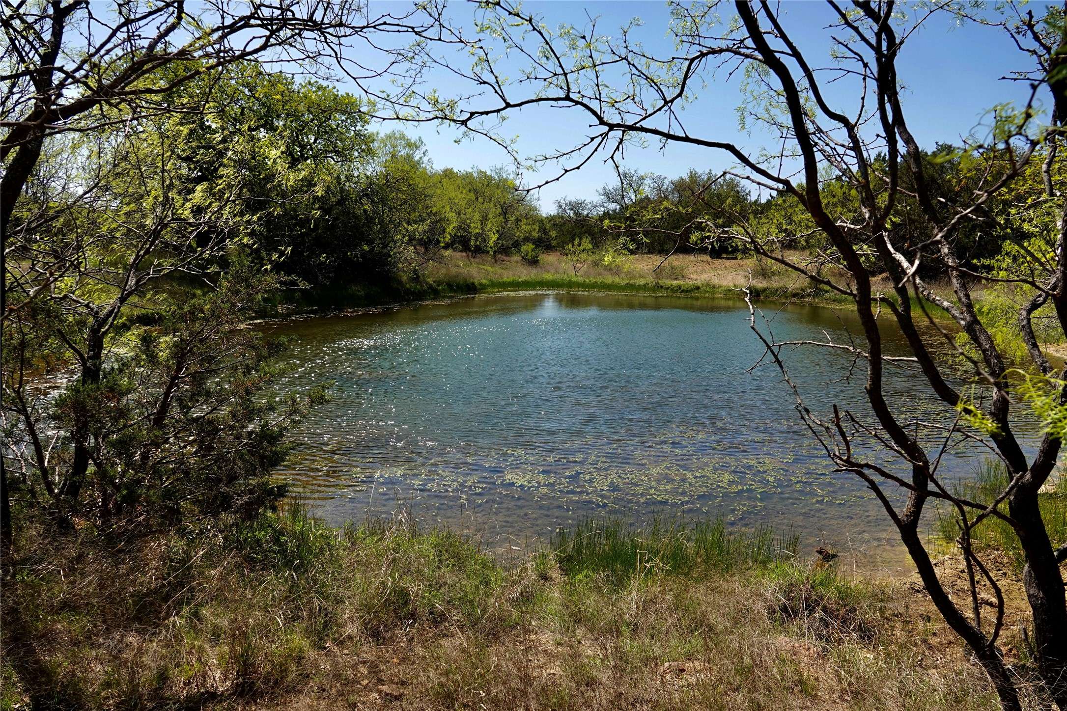 Mingus, TX 76463,TBD County Road 107