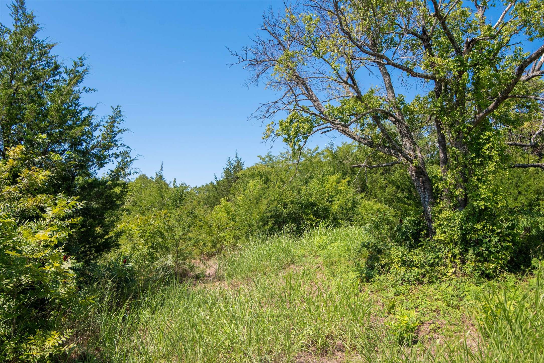 Trenton, TX 75490,TBD County Road 4515
