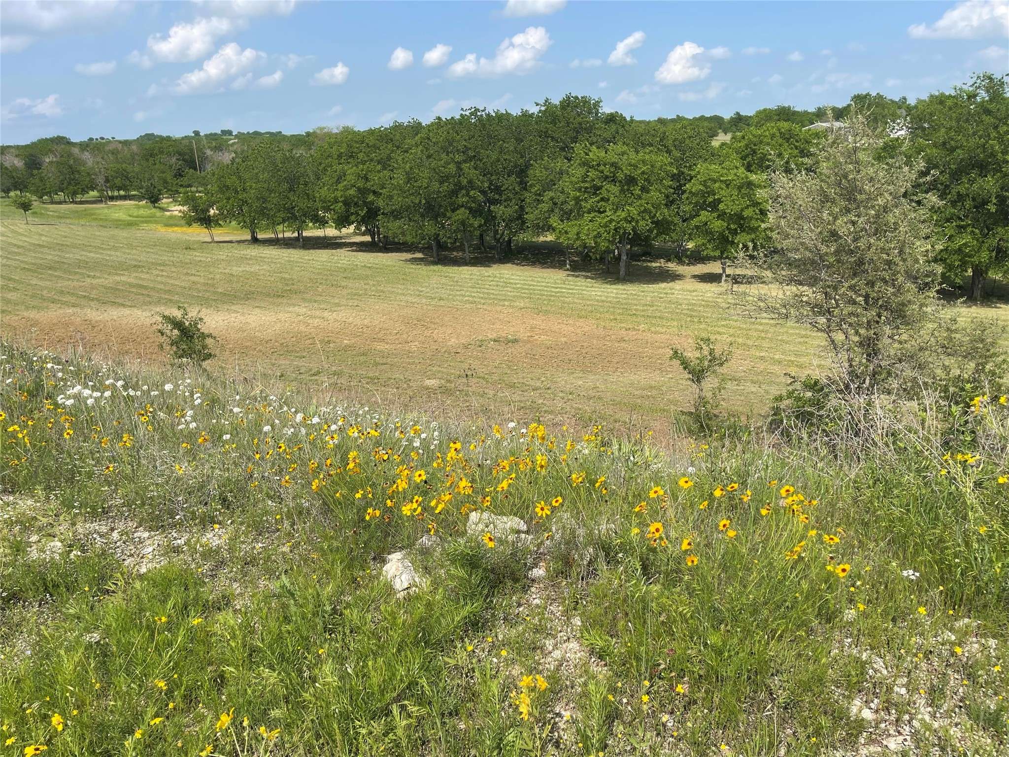 Rhome, TX 76078,381 Heritage Creek DR