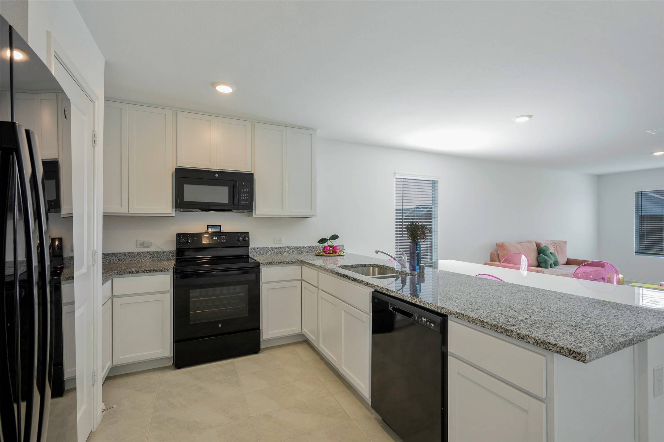 Princeton, TX 75407,113 Boxberry WAY