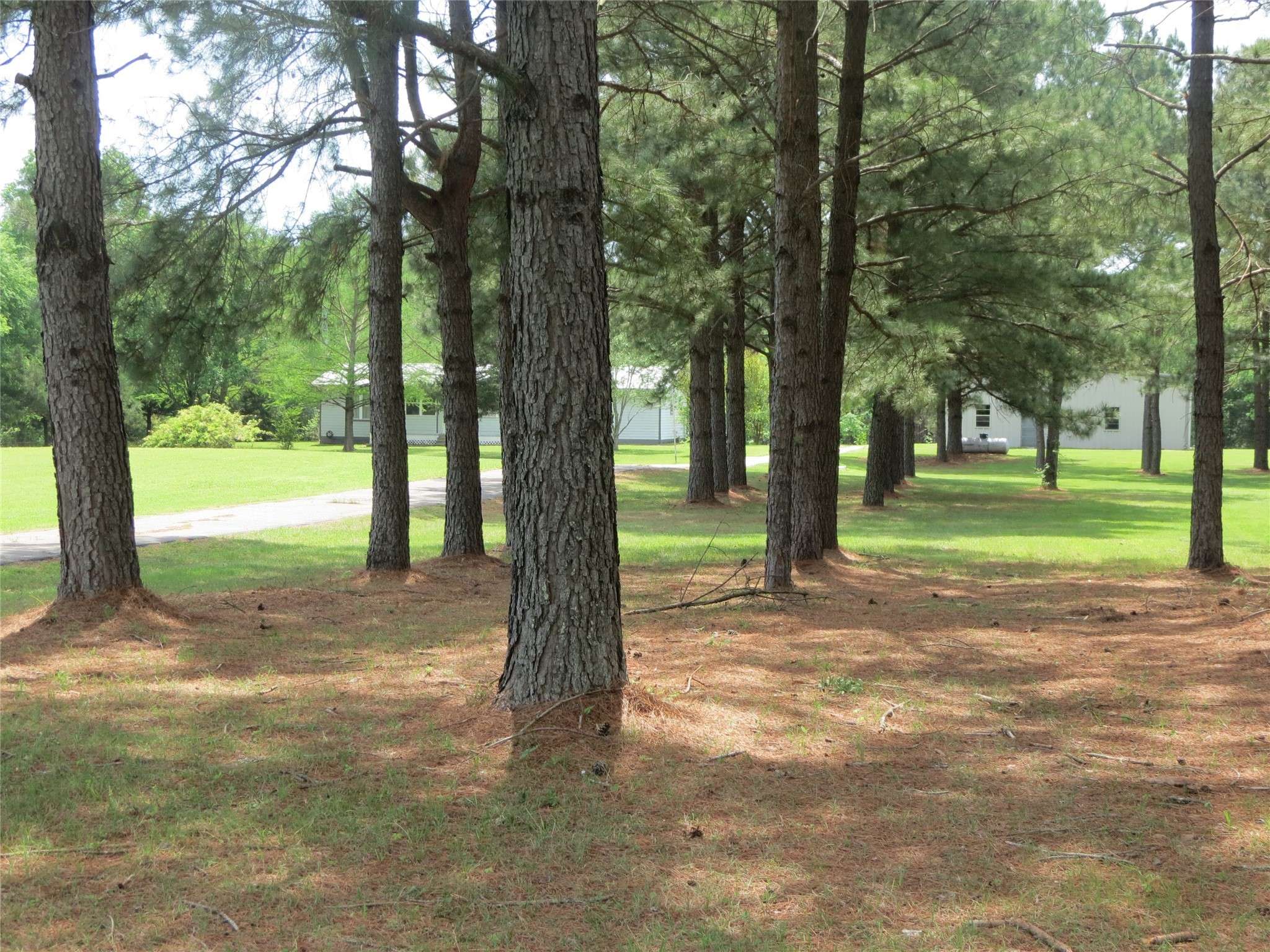Mineola, TX 75773,25988 County Road 462