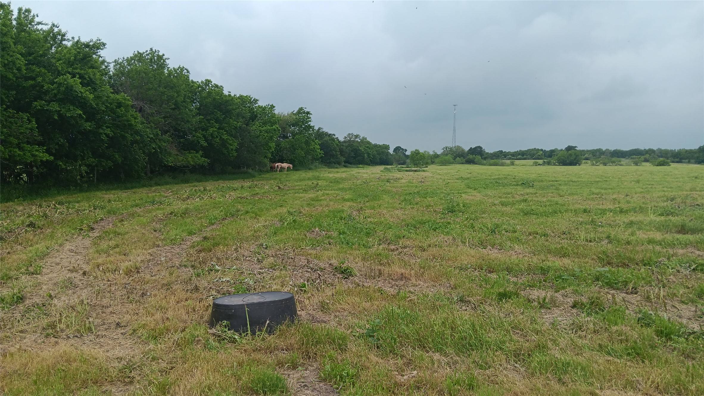 Chilton, TX 76632,253 CR 494 N