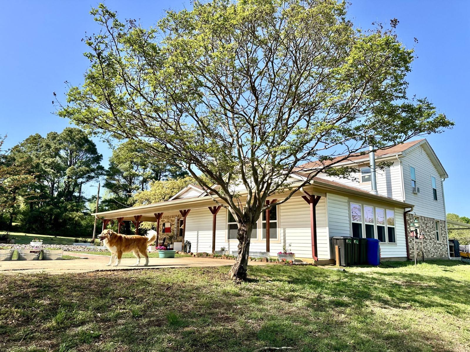 Cleburne, TX 76031,1309 SHANNON DR