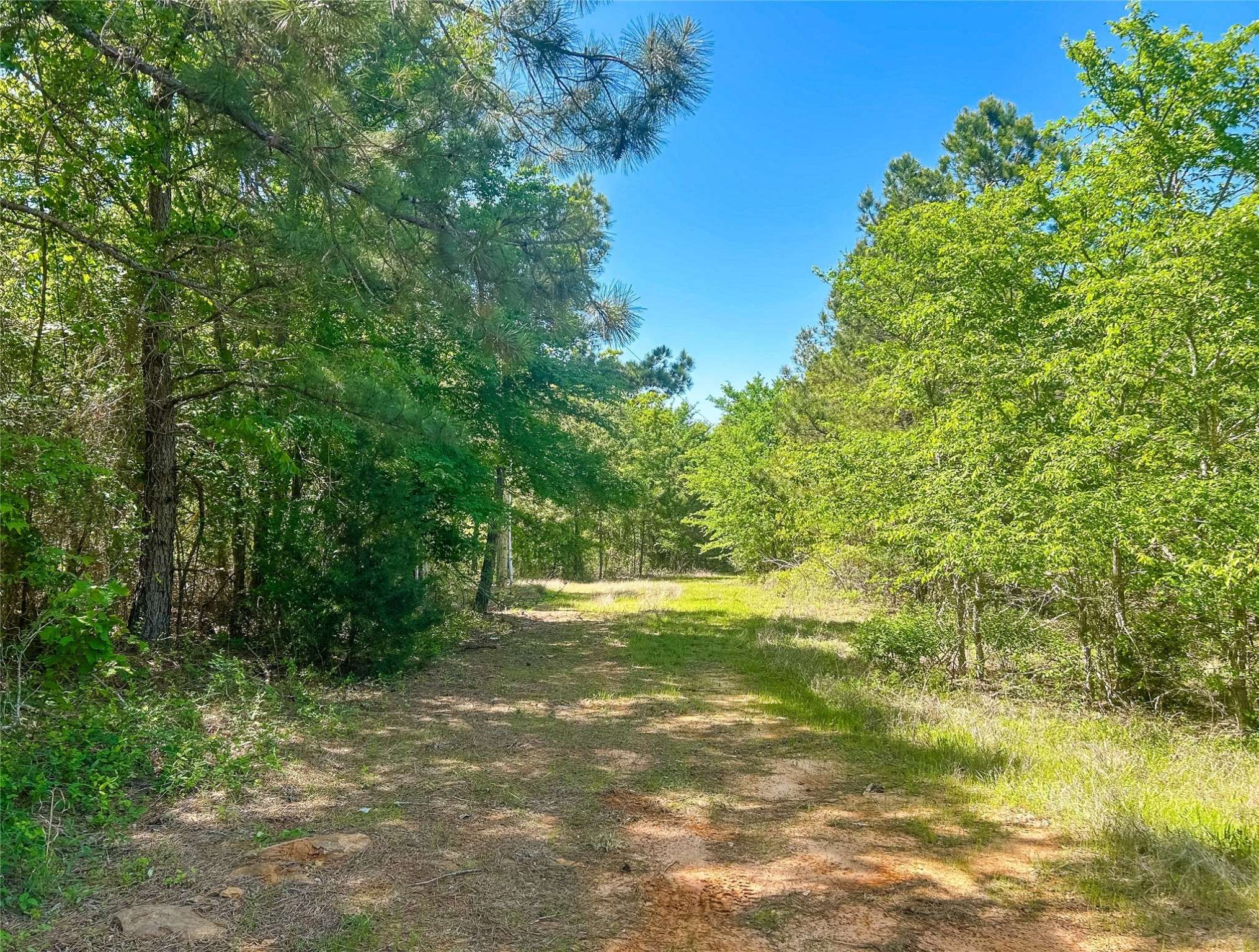 Ben Wheeler, TX 75754,TBD CR 4814