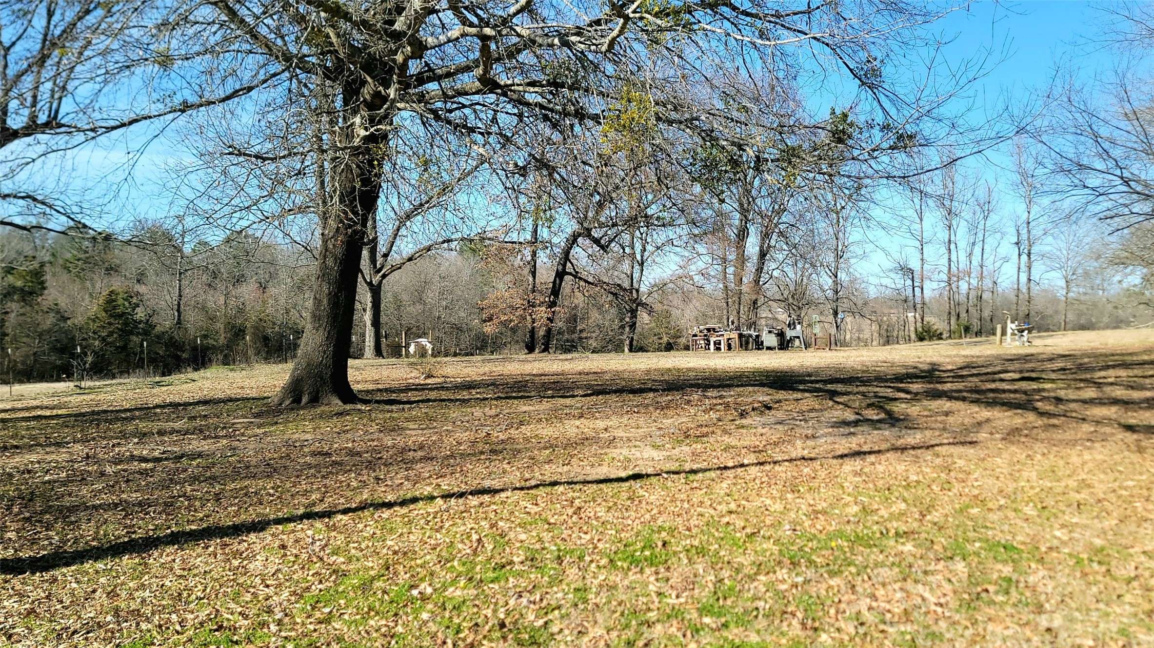 Avery, TX 75554,340 N Austin