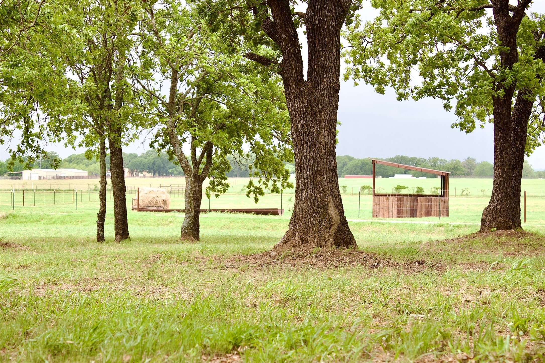 Granbury, TX 76048,3310 Coy LN