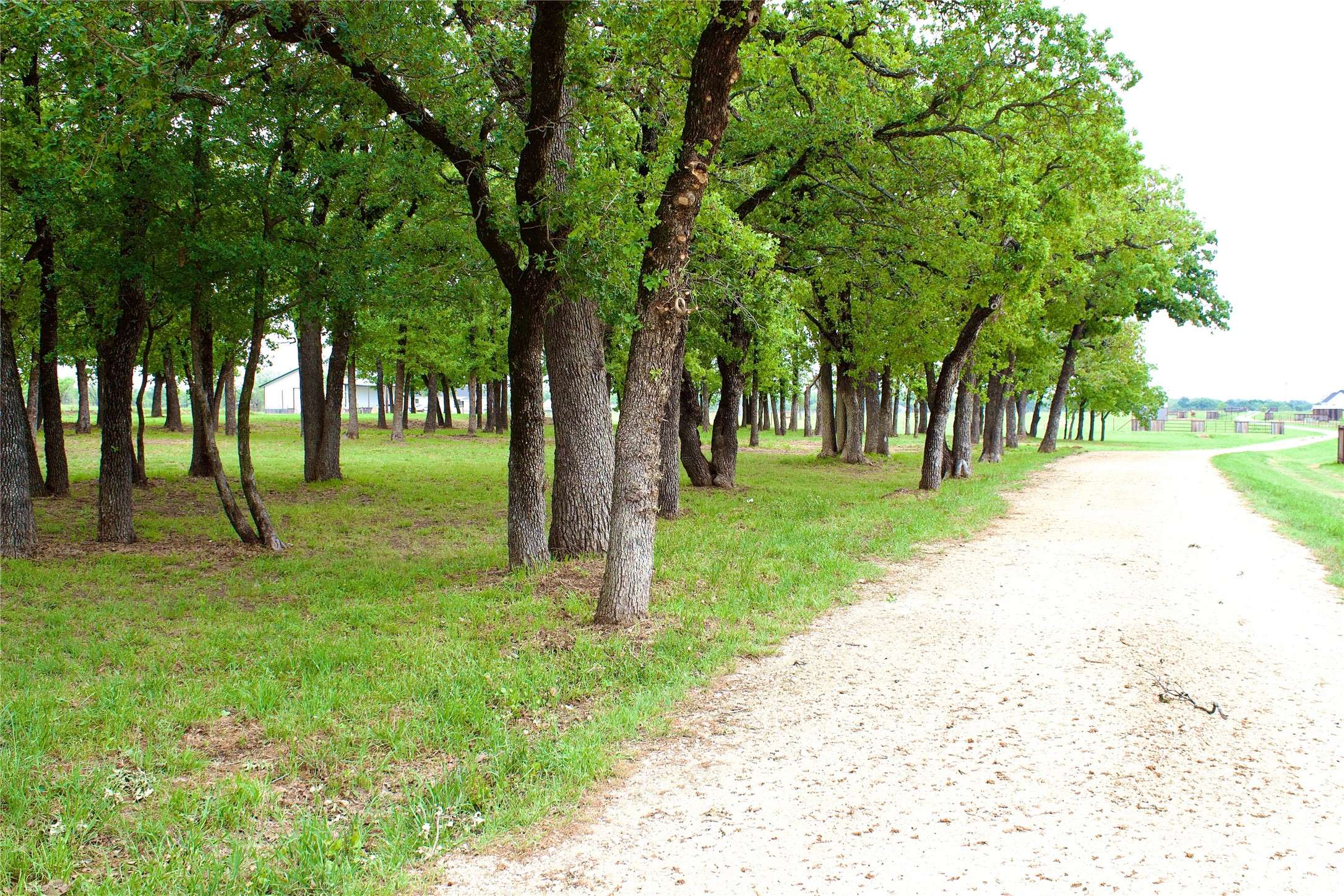 Granbury, TX 76048,3310 Coy LN