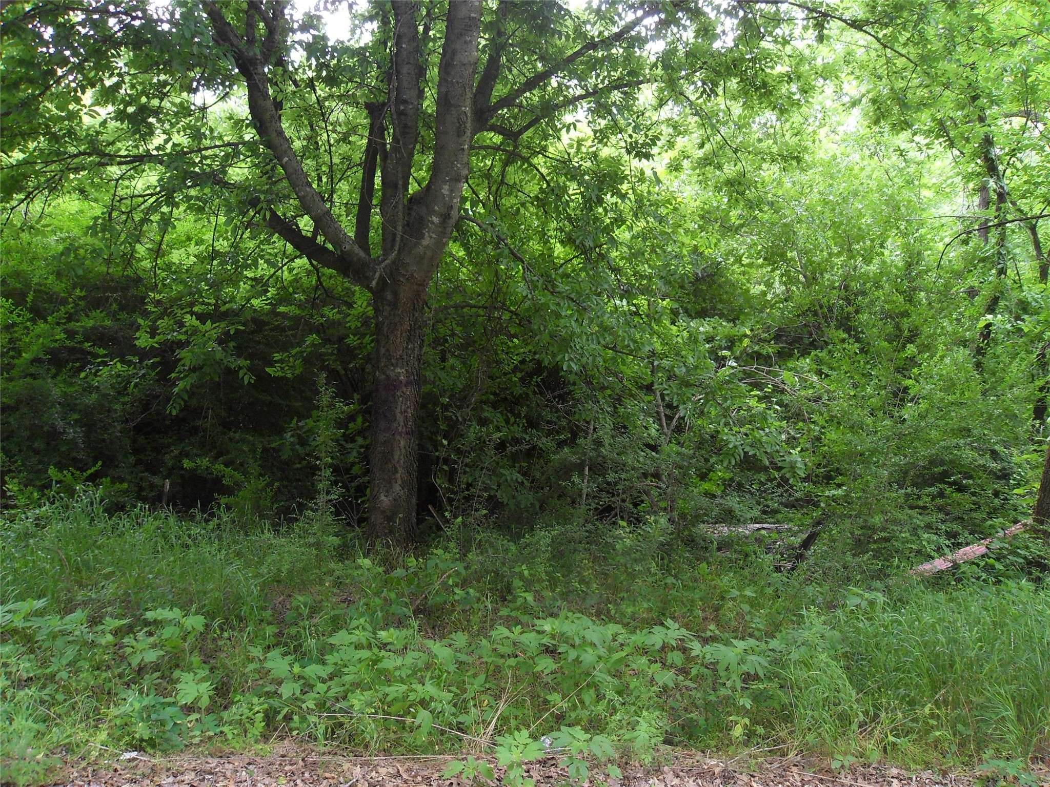 Mansfield, TX 76063,816 Wilson DR