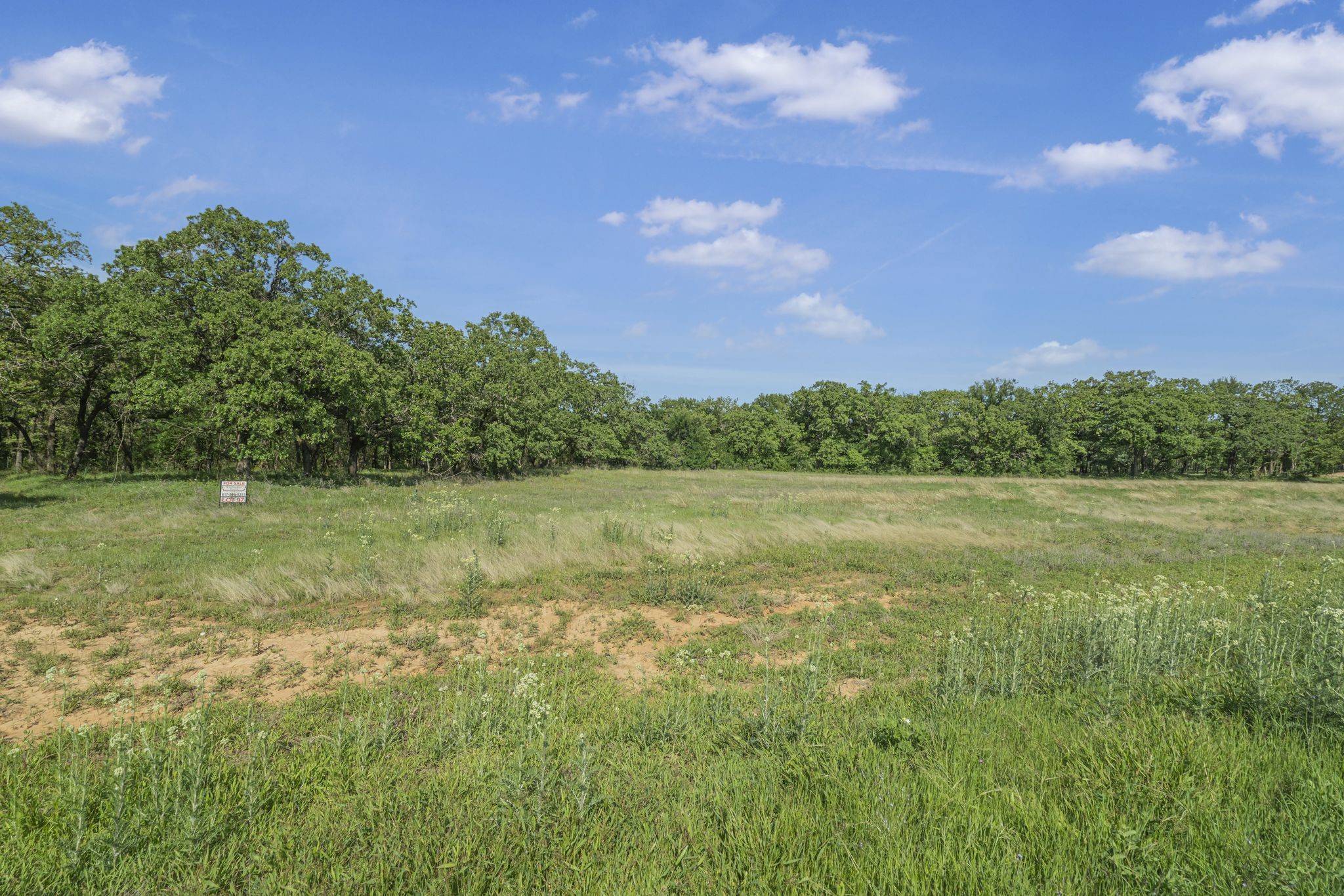 Weatherford, TX 76087,3004 Wyatts WAY