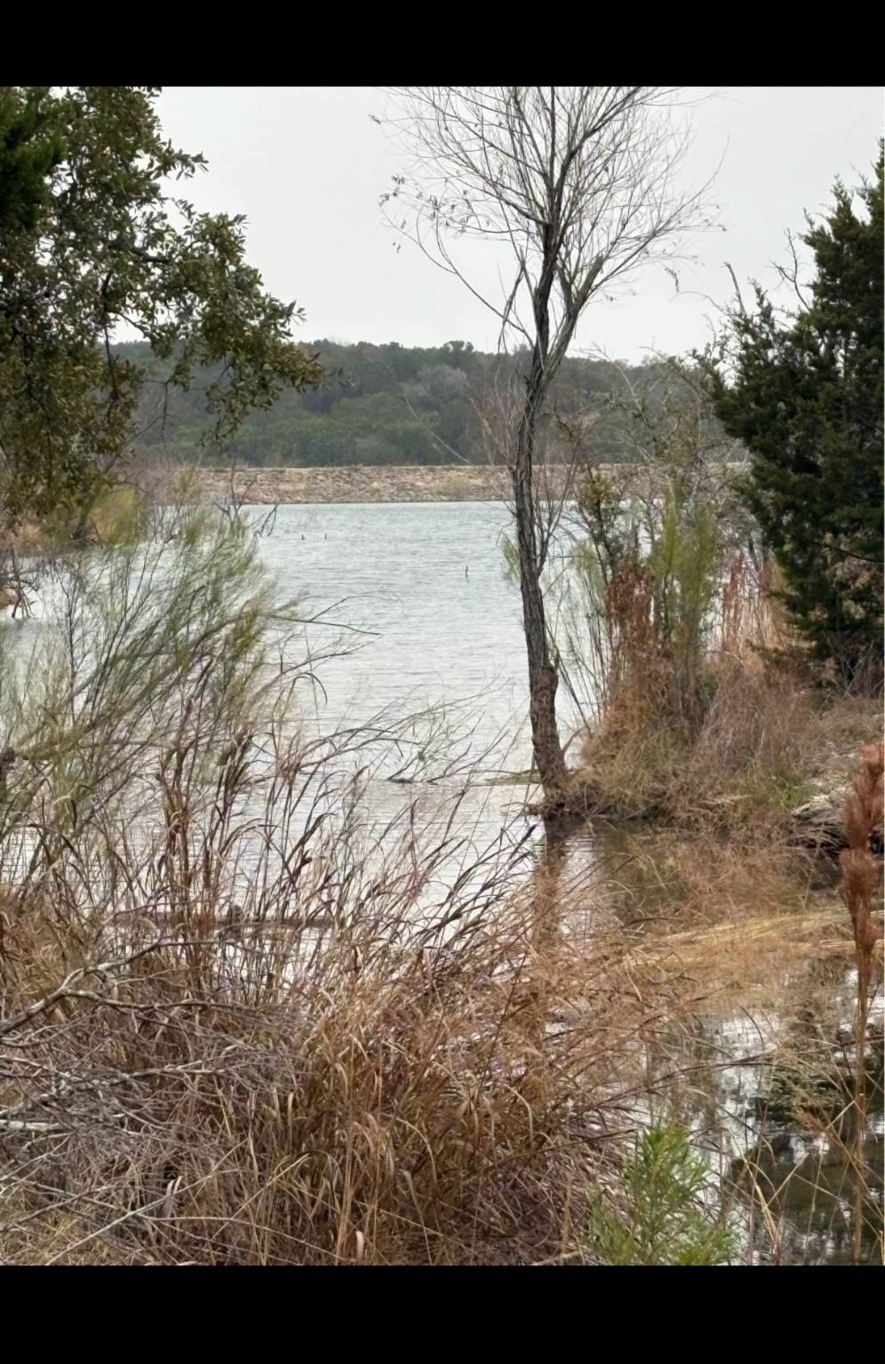 Bluff Dale, TX 76433,650 Anglers Ridge