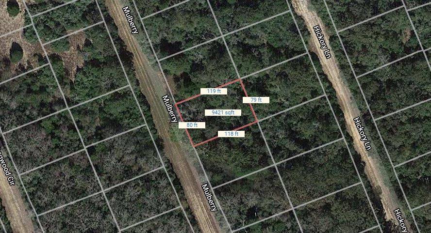 Normangee, TX 77871,Lot 21 Mulberry LN