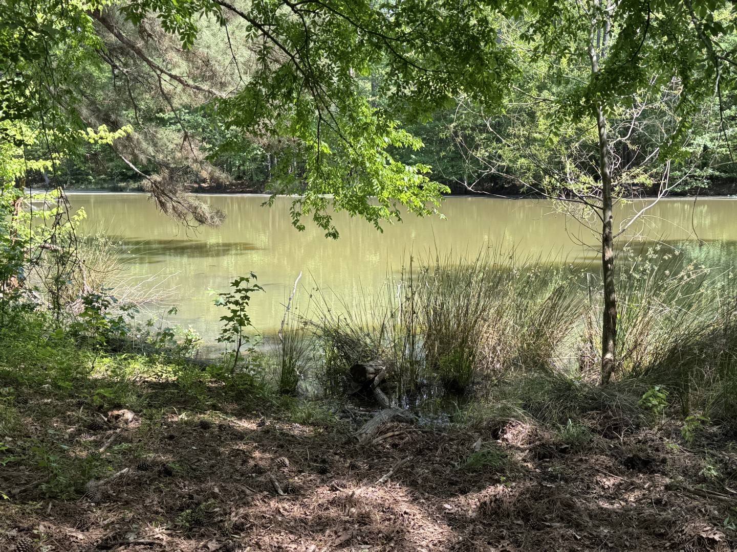 Henderson, TX 75654,16649 County Road 4252D