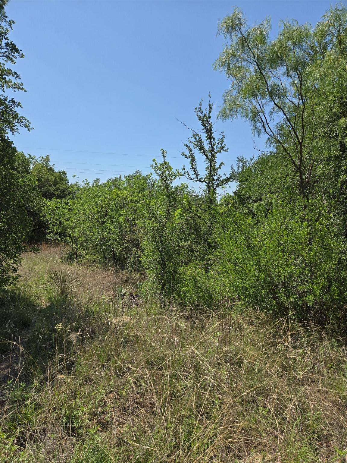 Brownwood, TX 76801,7143 Dillard DR