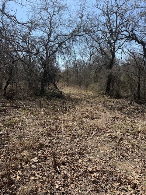 Dublin, TX 76446,000 County Road 401