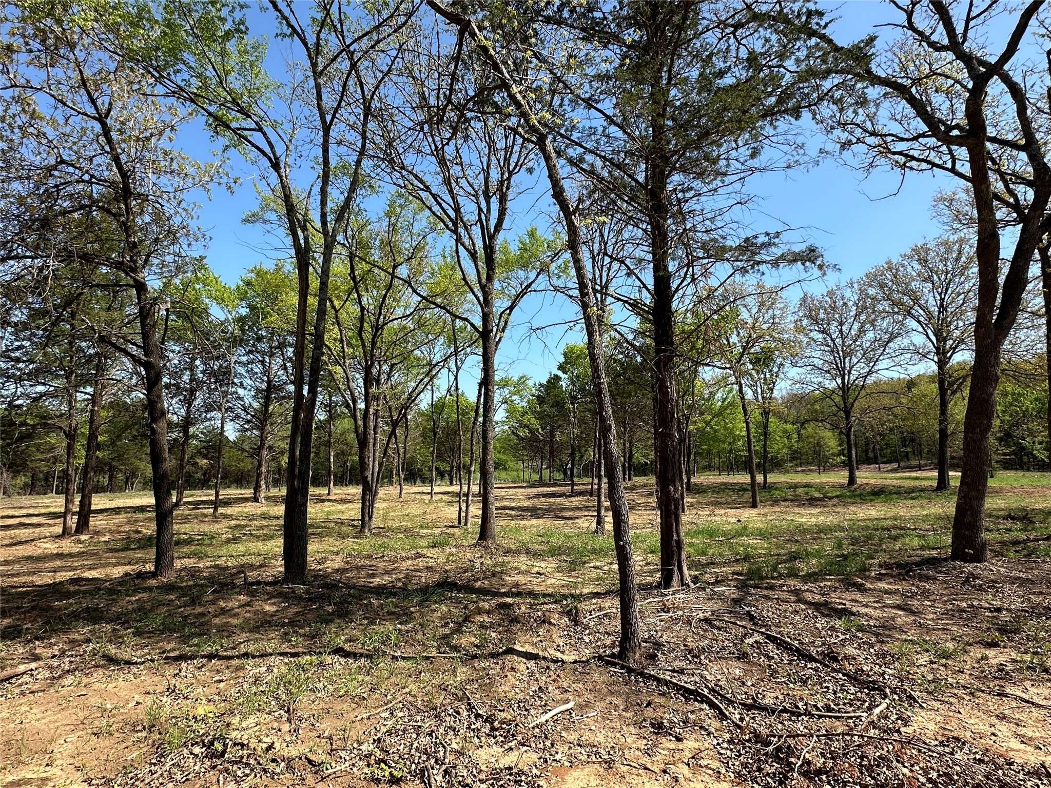 Gainesville, TX 76240,TBD Lot 1 Cr-147
