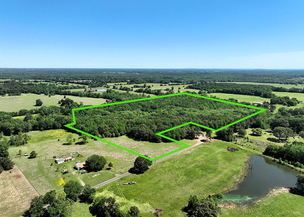 Pittsburg, TX 75686,TBD Turtle RD