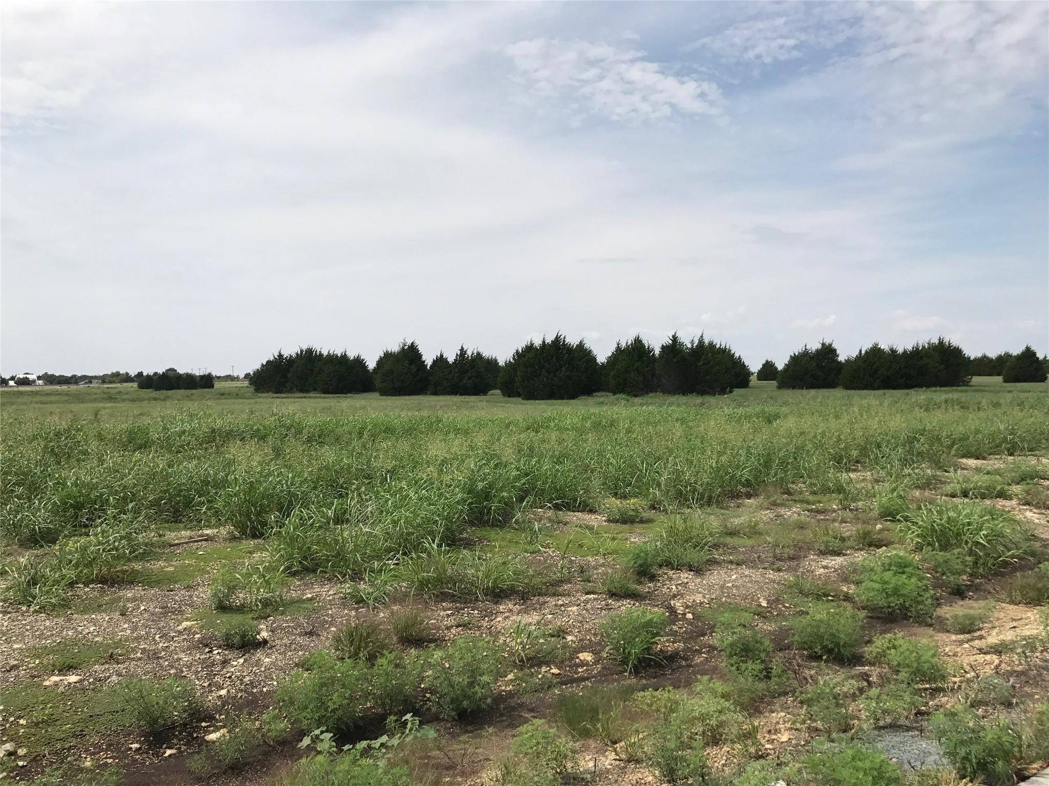 Midlothian, TX 76065,1751 Carroll Moran TRL