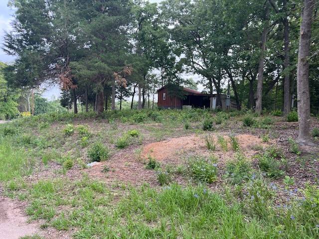Murchison, TX 75778,TBD E Walnut TRL