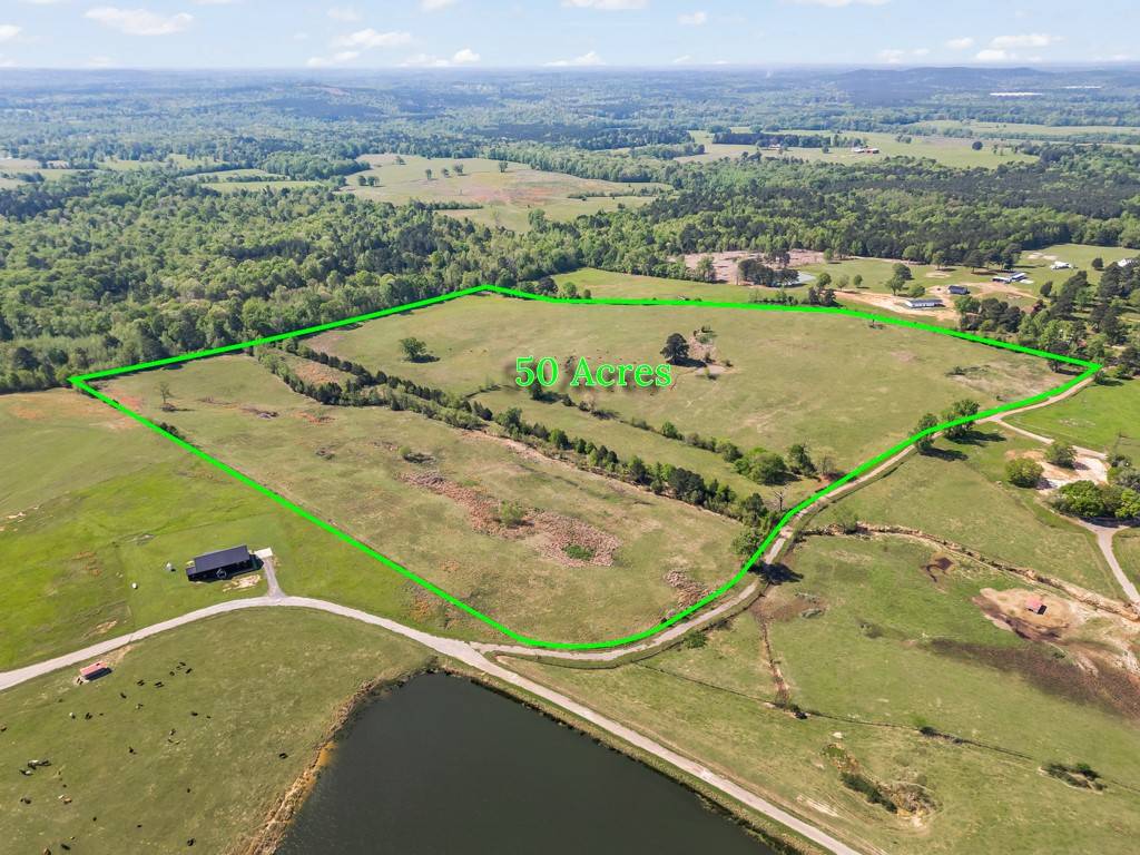 Ore City, TX 75683,TBD Wild Daisy Road 50 Acres