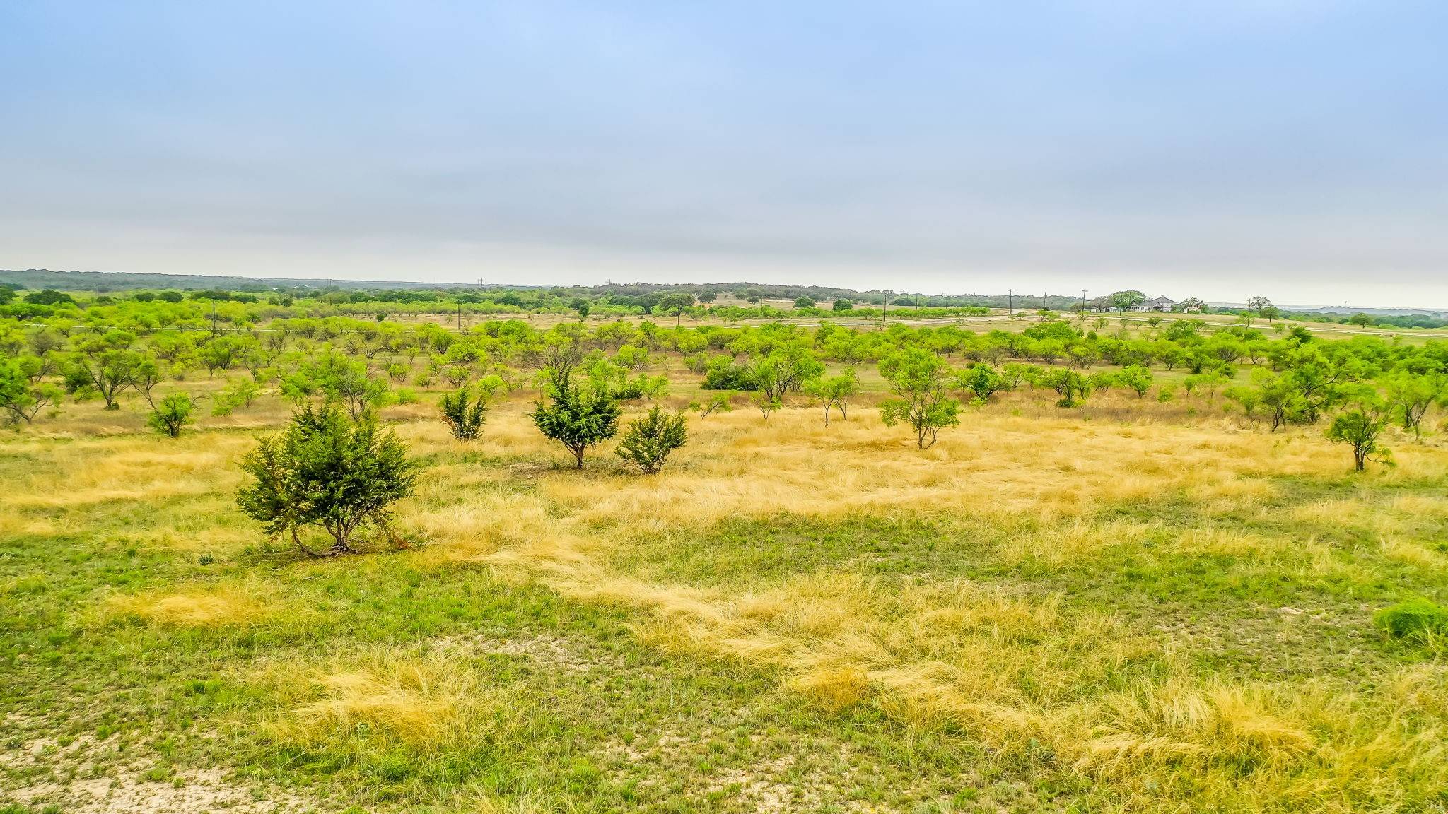 Blanket, TX 76432,Lot 4 County Road 332