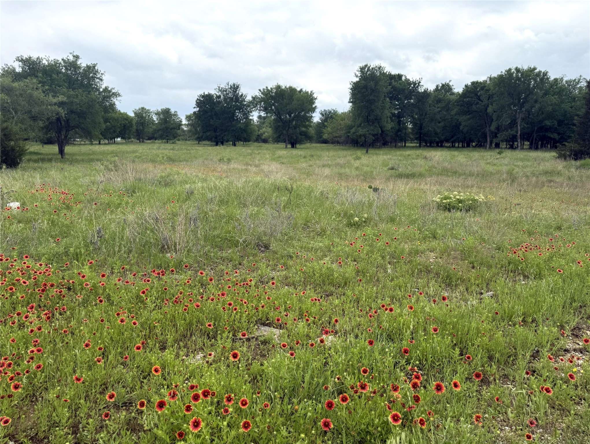 Bridgeport, TX 76426,7 E Bay DR